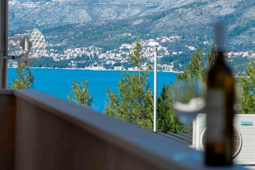 Private Pool Amazing Apartmant Cavtat Luaran gambar
